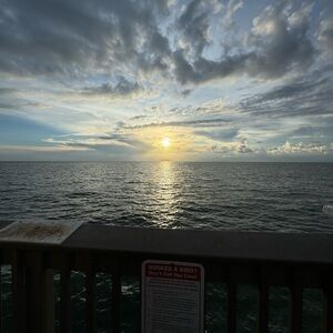 Meet your Posher, Paige